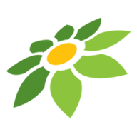 LINK OGCASINO